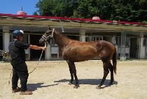 ��´���� (RAON THE TONY) ����