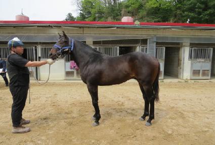 ����ͽ�Ʈ�� ����