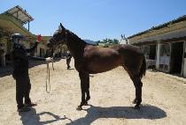 ��´�Ŭ��� (RAON THE CLARA) ����