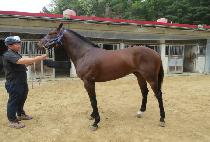 ���ŷ���� (RAON KINGSMAN) ����