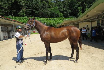 ��´��÷縶 ����