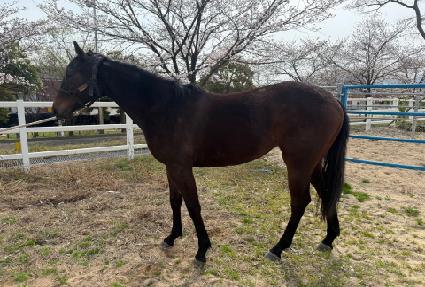 ������� ����