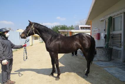 û�깫�� ����