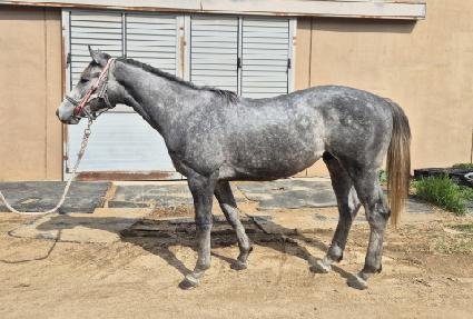 �������ǾƳ� ����