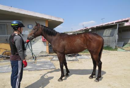 ������������ ����