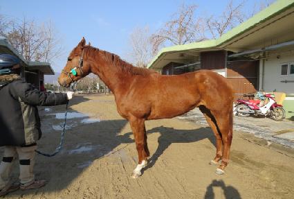 ���ο��� ����