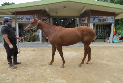 ���ֺ��� ����