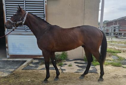 ������ǵ� ����