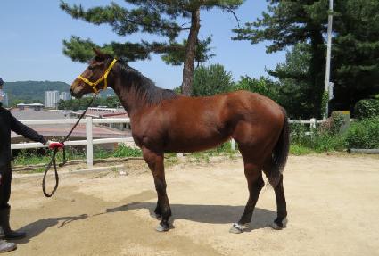 �̾����� ����