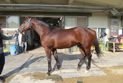 ���ڵ���� ����