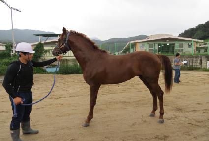 �Ӵ������� ����