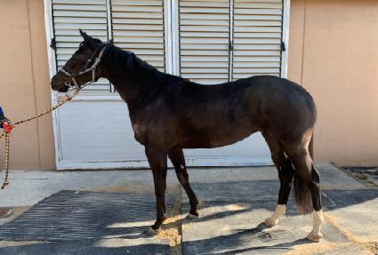 ��� ����