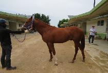 ����Ʈ���� (PERFECT GAME) ����