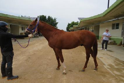 ����Ʈ���� ����