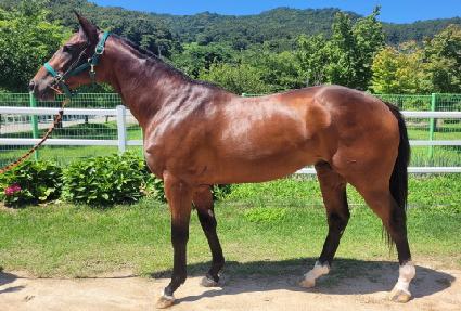 ���������� ����