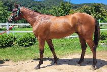 �����ǿ��� (BEOLMAUI YEONGUNG) ����