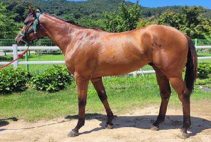 �����ǿ��� ����