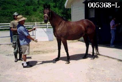 ���̳�������� ����