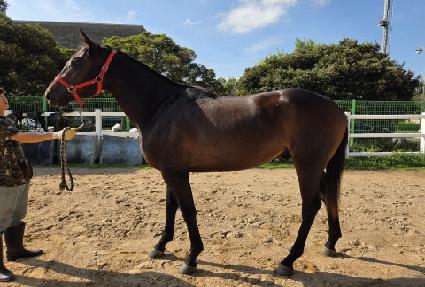 ������ ����