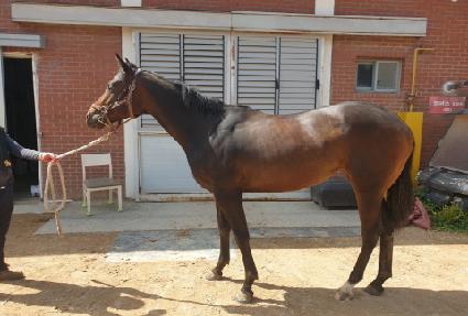 ��ƼǮƮ�Ѹ� ����