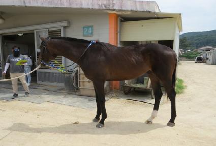 ������������ ����