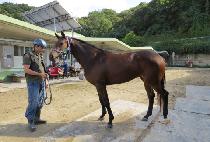 ������Ʈ���� (EXCELLENT STORM) ����