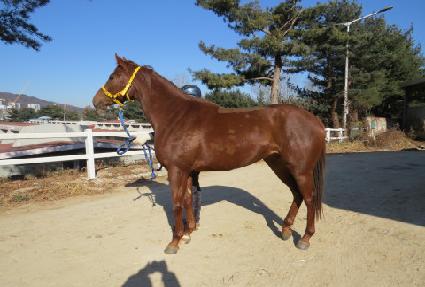 û���� ����