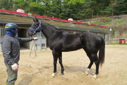 ��º����� ����