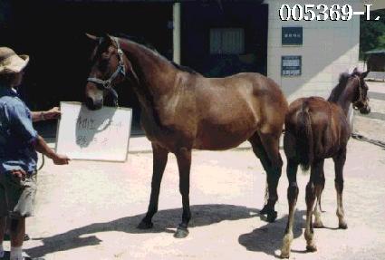 ���̳�¼��� ����