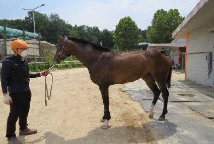 �Ŀ�Ǯ��ũƽ ����