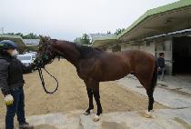 �Ŀ�Ǯ����Ʈ (POWERFUL KNIGHT) ����