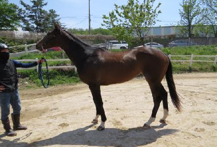 �Ŀ�Ǯ��Ʈ�� ����