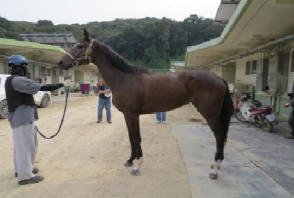 ������ ����