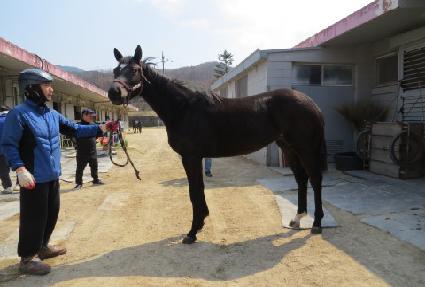 �����ö��� ����