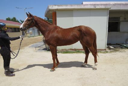 ��Ŭ�������� ����