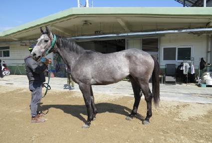 �������÷� ����