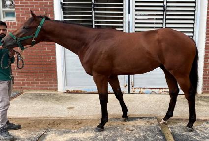 �긮�������� ����