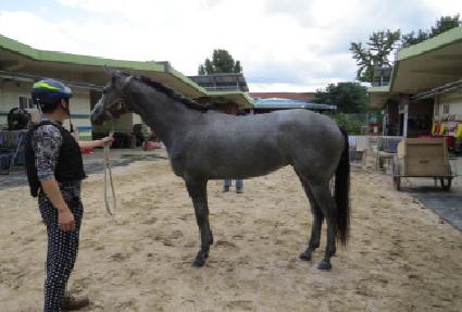 ȭ��Ʈ���� ����