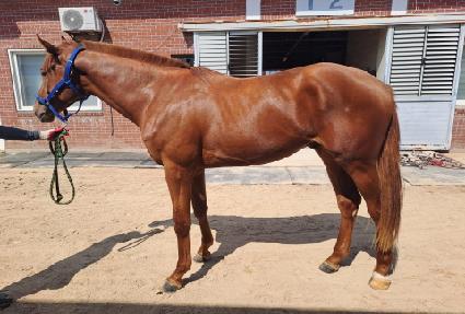 ���̴��ڸ��� ����