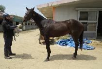 ��������Ʈ (WHIZ POINT) ����