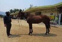 ��ũ���� (BANK LINE) ����