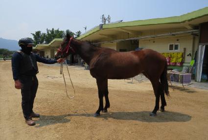 ��ũ���� ����