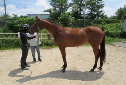 Ŭ��ġ���� ����