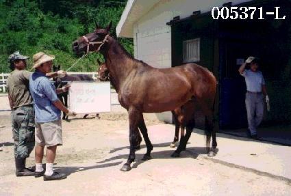 ���̳����Ʈ ����