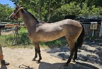 ��Ʈ����� (ULTRA VISION) ����