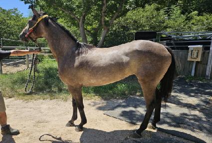 ��Ʈ����� ����