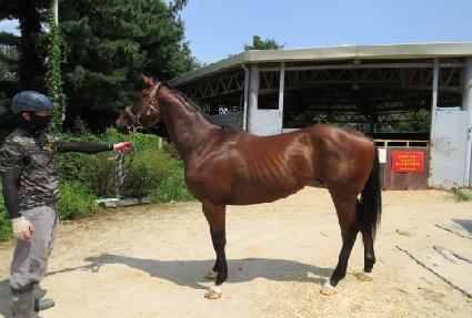 ���ø����� ����