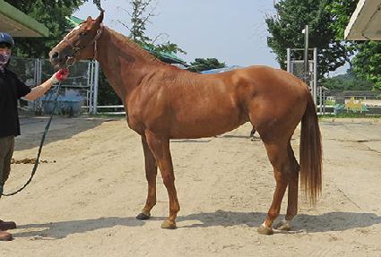 ���ǻ�Ÿ�̰� ����