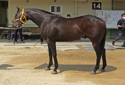 ���Ͻ����� ����