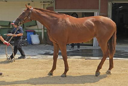 �꺻������ ����